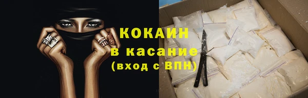 твердый Аркадак