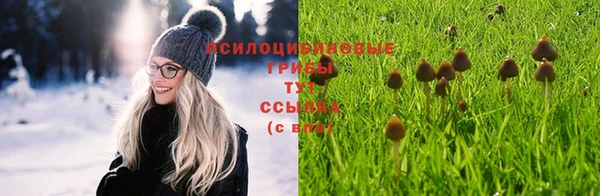 мескалин Арсеньев