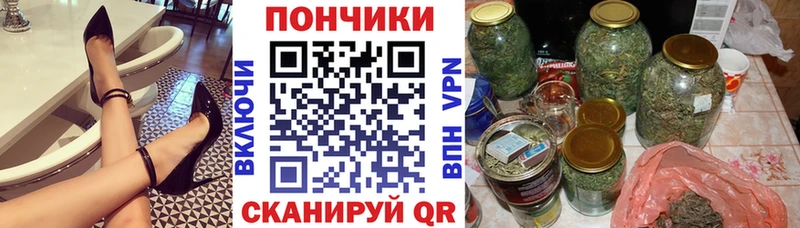 Бошки Шишки конопля  Новодвинск 